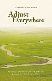 Adjust Everywhere