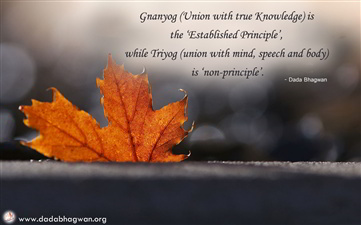 spiritual quotes, spiritual inspirational quotes, inspirational spiritual quotes, spiritual awakening quotes, spiritual quotes on yog