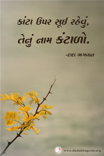 spiritual quotes, spiritual inspirational quotes, inspirational spiritual quotes, spiritual awakening quotes, spiritual quotes on પ્રકૃતિ