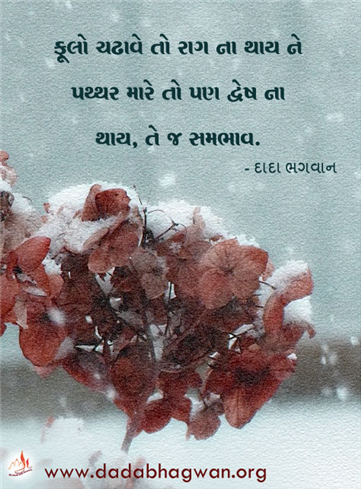 spiritual quotes, spiritual inspirational quotes, inspirational spiritual quotes, spiritual awakening quotes, spiritual quotes on ફૂલ